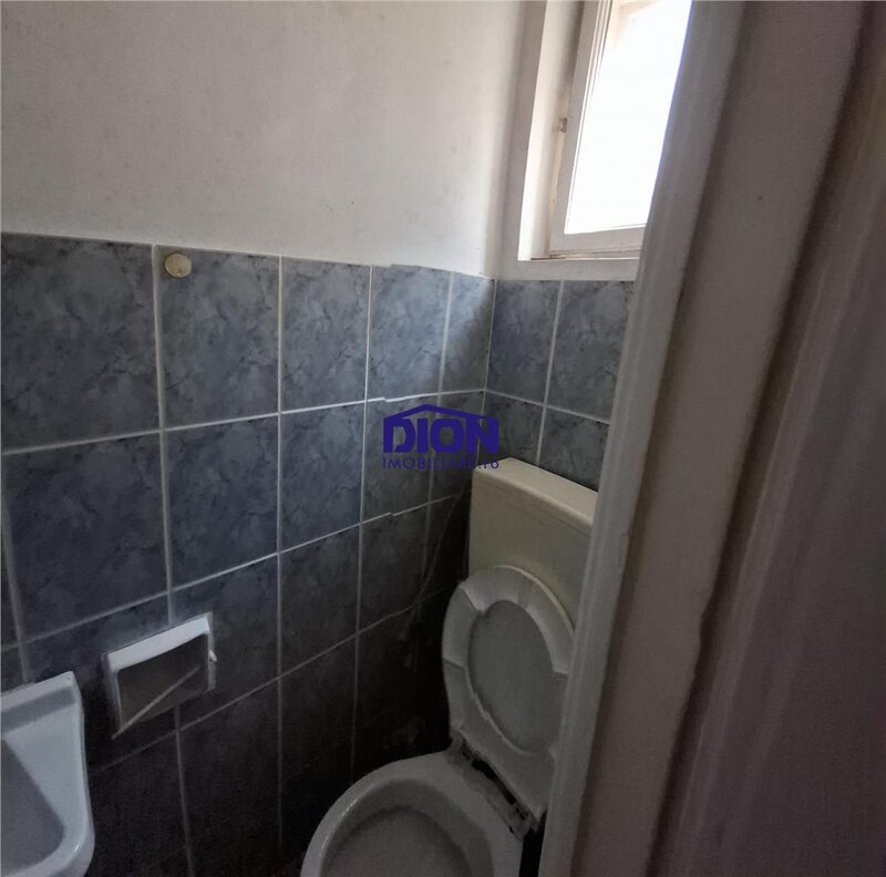 Pache Protopopescu - Agricultori - Sc. Internationala Britanica