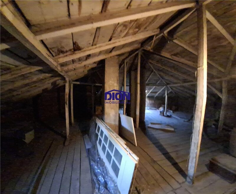 Pache Protopopescu - Agricultori - Sc. Internationala Britanica